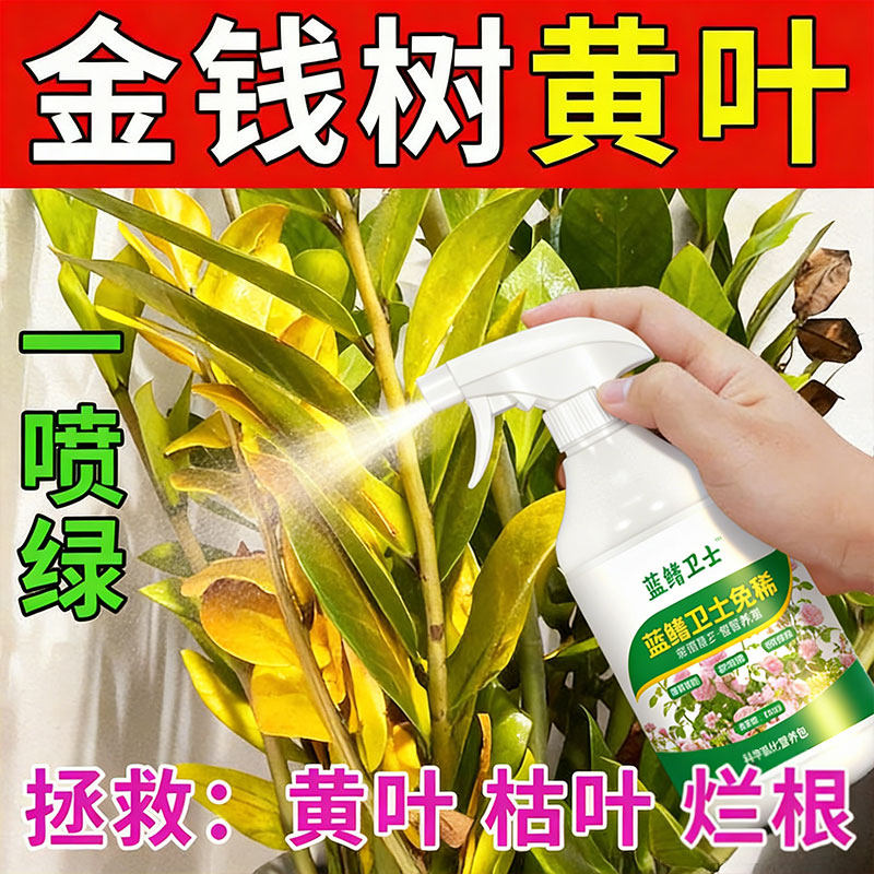 金钱树专用营养液叶子发黄叶烂根摇钱树肥钱串子金钱树肥料专用肥,鲜花速递/花卉仿真/绿植园艺,家庭园艺肥料,淘宝优惠券,粉丝福利购,淘宝优惠卷