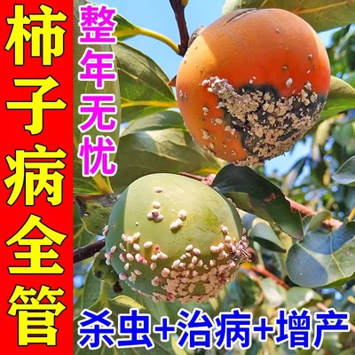 柿子树杀虫专用药除蚧壳虫柿棉虫白粉虱药除胭脂虫防小黑飞杀菌剂