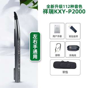 高档卡西雅2021新款 P2000pro电子吹管乐器国产数 P2000 电吹管KXY