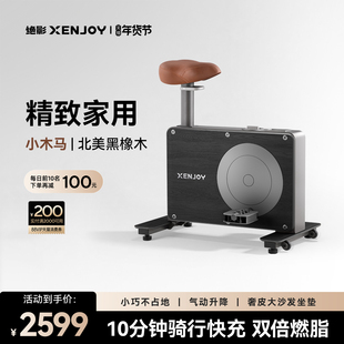 绝影小木马动感单车家用款室内小型静音运动减肥专用健身房器材