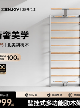 绝影XW5肋木架家用健身器材壁挂式多功能训练引体向上康复拉伸架