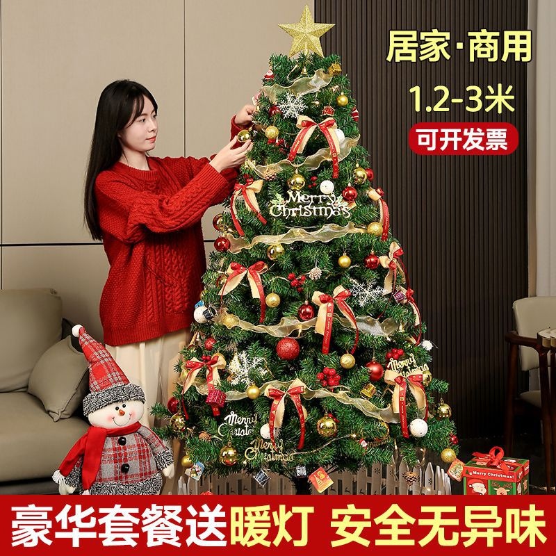 圣诞树2025新款家用diy套餐加密高级感ins风圣诞节装饰客厅摆件灯