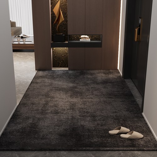 诗缇入户门玄关耐脏好打理地垫