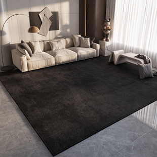 客厅地毯2025新款轻奢高级感黑色沙发地垫茶几毯卧室床边毯脚垫子