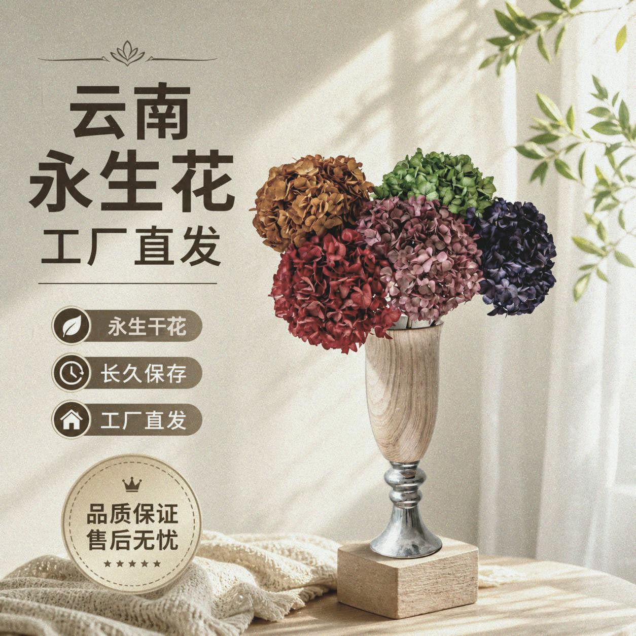 绣球永生花云南直发花材超长花期