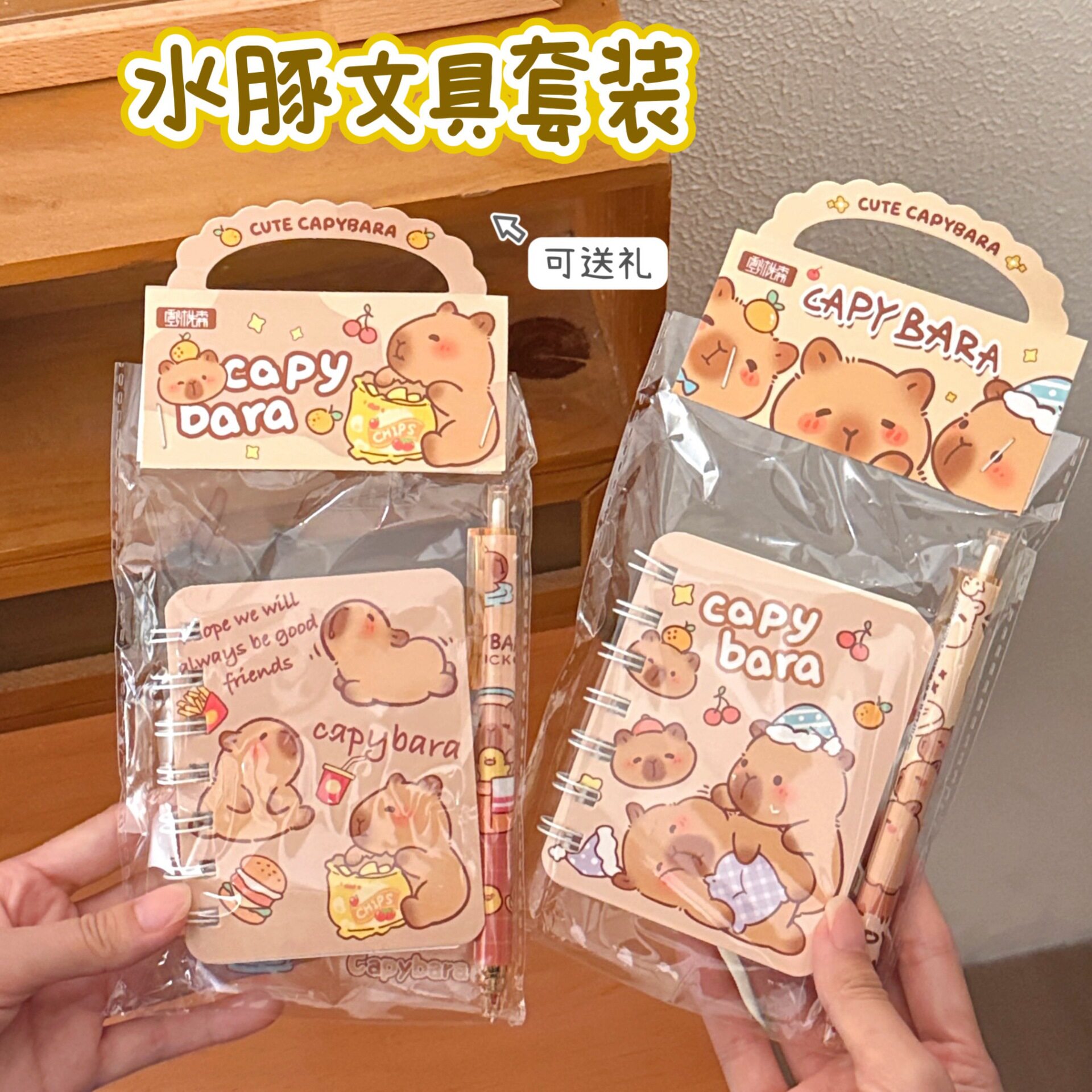 特价可爱卡通水豚小礼套装小学生
