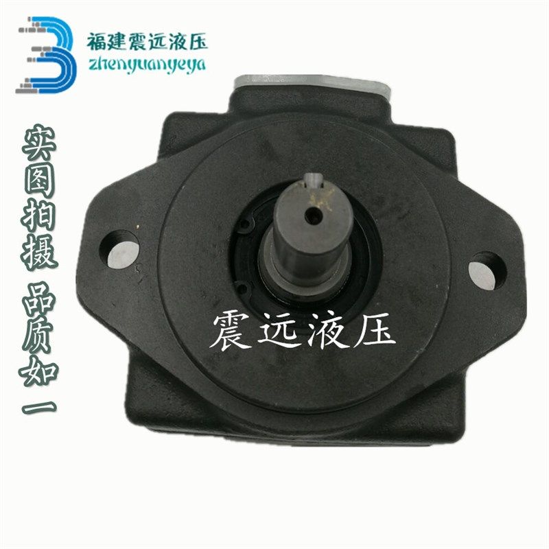 PV2R1-6/8/10/12/14/17/19/23/25/31-F-RAA-43