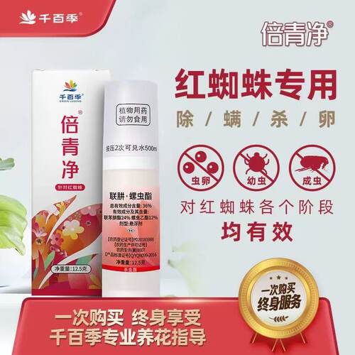 千百季倍清净倍青净联肼螺虫酯脂月季花卉杀红蜘蛛专用药杀虫剂