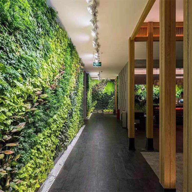 厂家设计生产看房通道酒店绿化大堂造景植物墙苔藓真植物墙