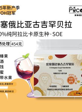 璞挚埃塞古吉罕贝拉SOE意式精品咖啡豆25年新产季TOH冠军阿拉比卡