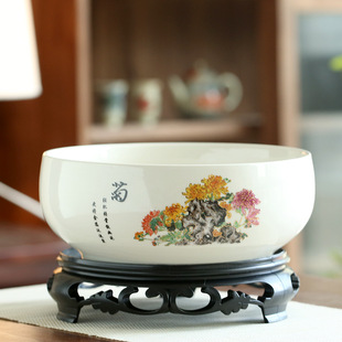 一件代发批发TEMU碗莲铜钱草睡莲一叶莲水仙花盆金钱草水培盆