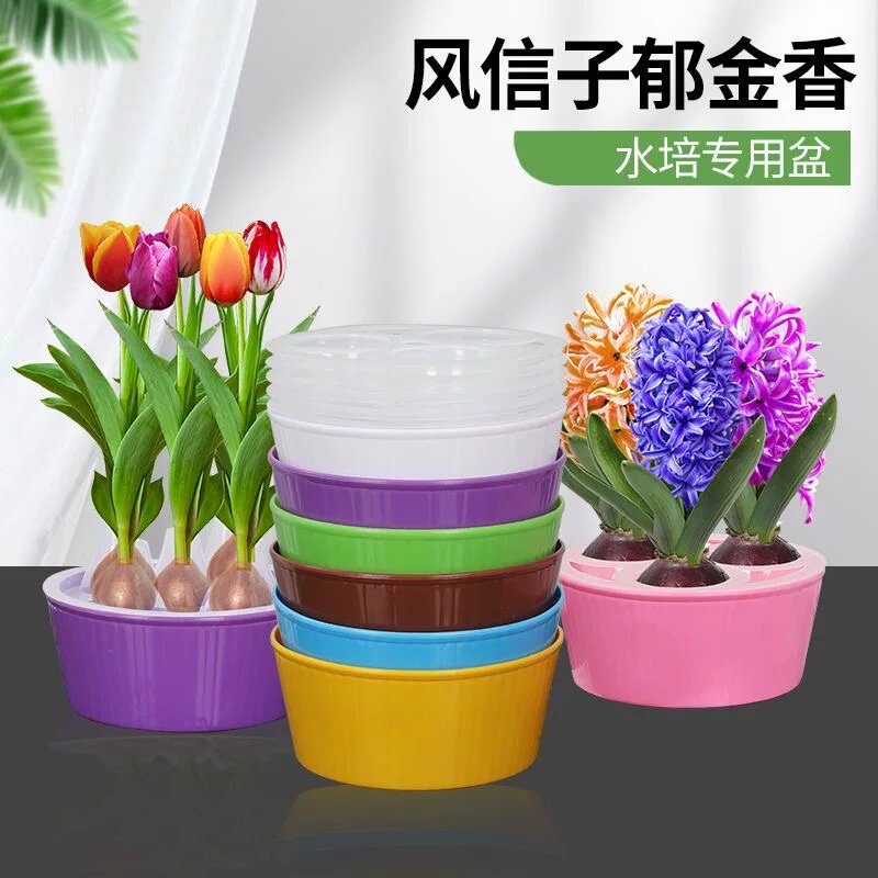 水培花盆郁金香种球专用器皿风信子水仙种子三孔五孔懒人花瓶水培