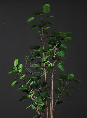 金钱兜盆店栽仿真福桐假树服装橱窗I装饰北禄欧GL-63222NS发财树