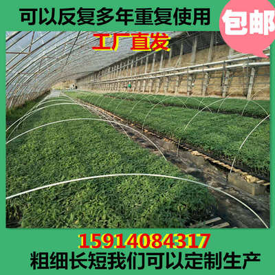 玻璃钢弹力棒各种规格100条农用小拱棚菜棚花卉育苗保温棚支架