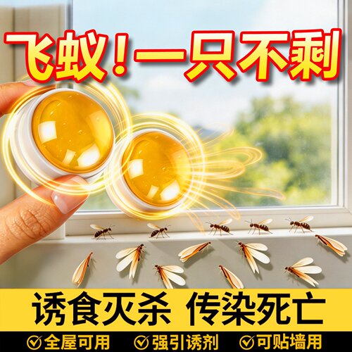 飞蚂蚁药家用全窝端家用飞蚁防治专用杀虫剂灭大水蚁涨水蛾白蚁灯