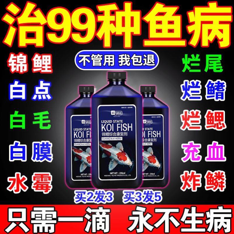 亚甲基蓝锦鲤鱼专用观赏鱼烂烂尾白点炸麟奇罗芬4号鱼康病宝药身