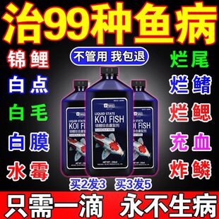 亚甲基蓝锦鲤鱼专用观赏鱼烂烂尾白点炸麟奇罗芬4号鱼康病宝药身