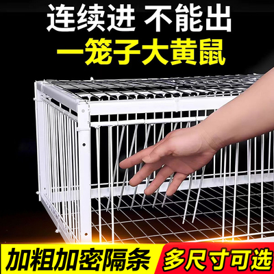 huan大专用陷阱抓老鼠的笼子仙工具药养鸡窝围栏防大鼠狼驱赶神器
