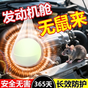 汽车发动机舱强力驱鼠神器2025新款 防老鼠克星薄荷油专用樟脑丸药