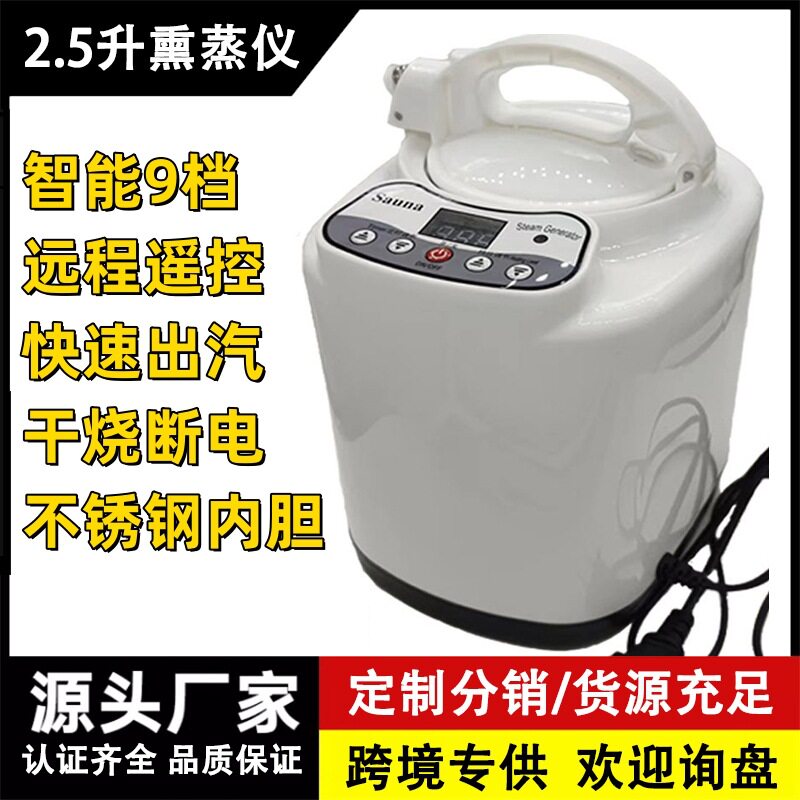 2.5升家用多功能熏蒸仪桑拿浴箱蒸汽机新款蒸锅商用发汗配件