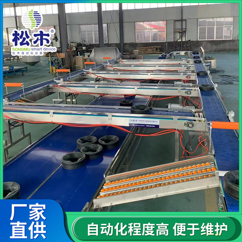 厂家直供水果智能分选机稳定