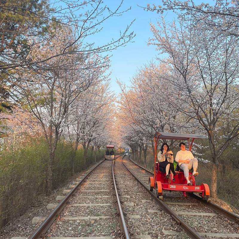 景区铁轨上的脚踏板行驶自行车铁路自行车铁轨脚踏车轨道手推车