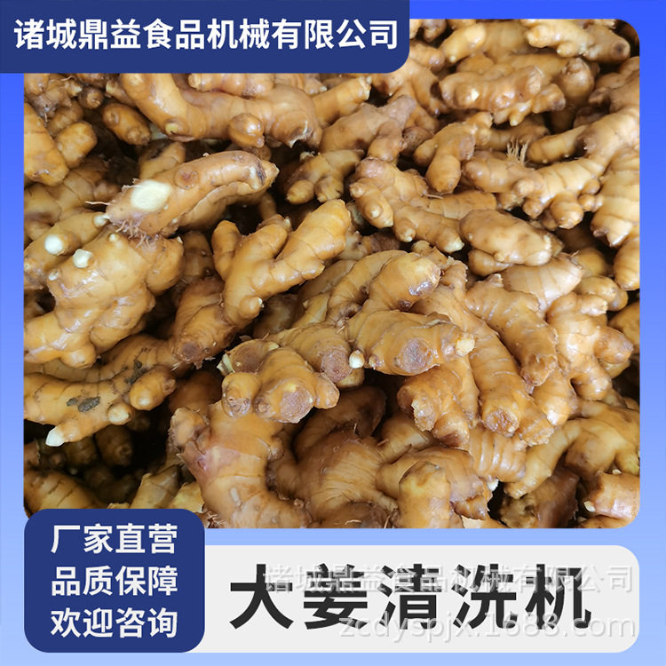 商用大姜高压喷淋清洗机