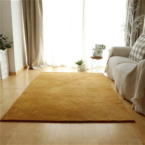 东升地毯客厅地毯客厅纯色简约沙发茶几地毯加厚床边毯房间满铺家