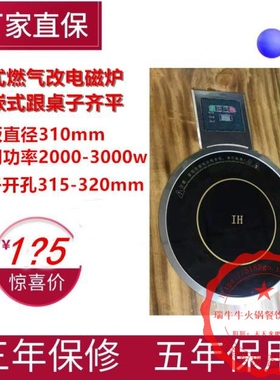 韩式燃气改电磁炉平放下沉煤气炉
