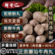 鲜牛汇潮汕牛肉丸正宗纯手工潮州汕头火锅烧烤食材牛筋丸子烤肉