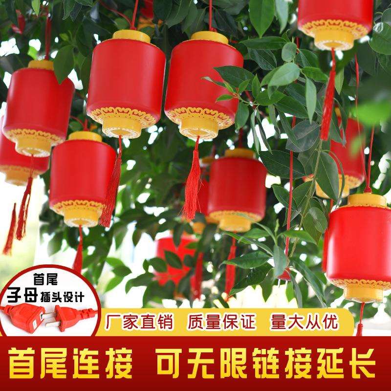 亚克力塑料led串灯插电连串小灯笼春节元旦树上装饰户外防水亮化