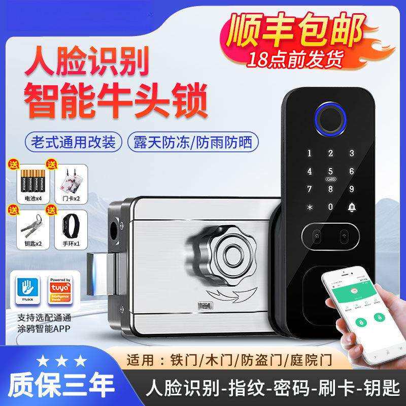 人脸识别牛头锁指纹密码公寓农村大门防雨指纹门锁老式铁门电子锁