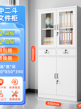 中二斗办公室铁皮文件柜档案资料柜多层财务凭证柜带锁抽屉矮柜子