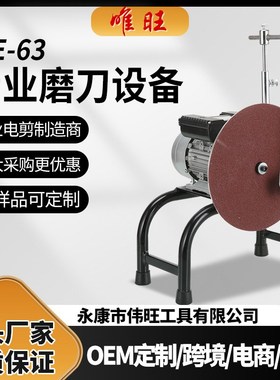 WE-63电动磨刀机 羊毛剪刀片磨刀机电动剪刀片磨刀器异步电机