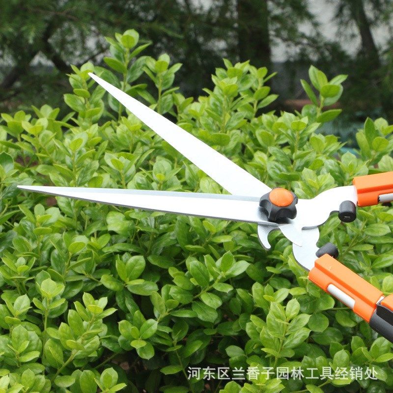 两用篱笆剪伸缩绿篱剪园林绿化工具SK5钢草坪剪省力修枝园艺剪刀