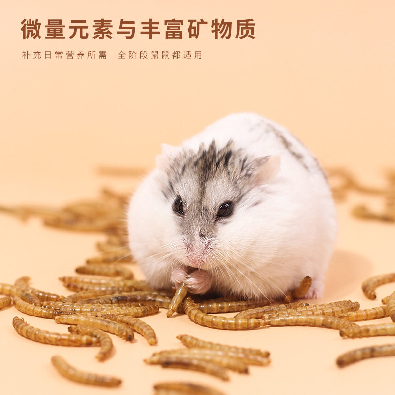 面包虫宠物食品零食饲料黄粉虫冻干粮仓鼠鹦鹉营养高蛋白观赏鱼龟