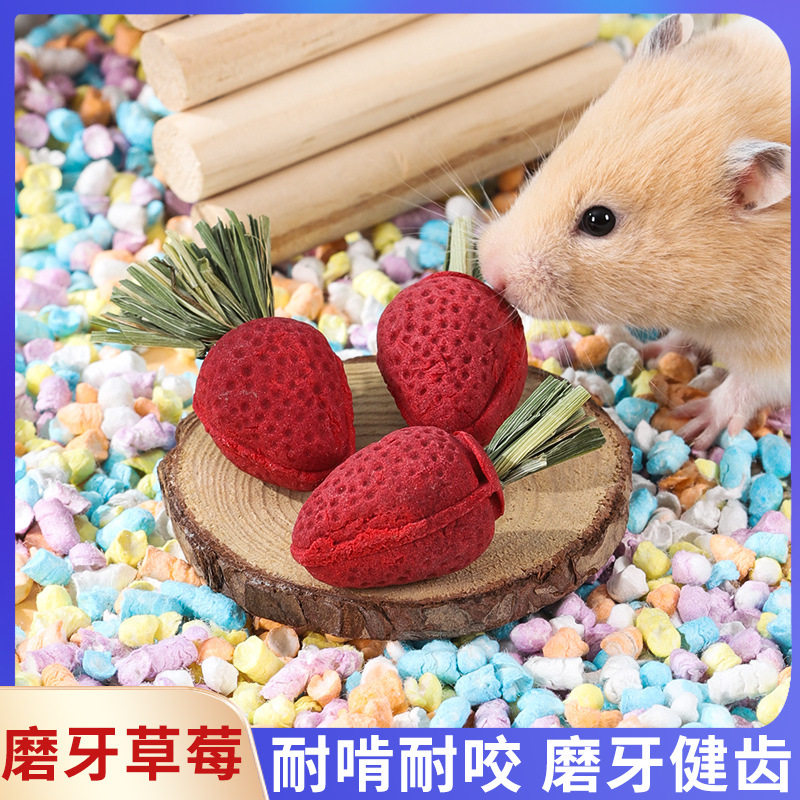 仓鼠小零食金丝熊磨牙草莓营养荷兰猪龙猫兔子磨牙棒造景玩具