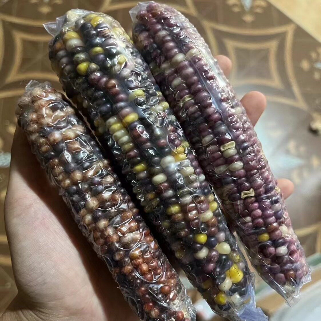 仓鼠粮食零食磨牙小玉米谷穗金丝熊龙猫豚鼠磨牙棒玩具当季新玉米