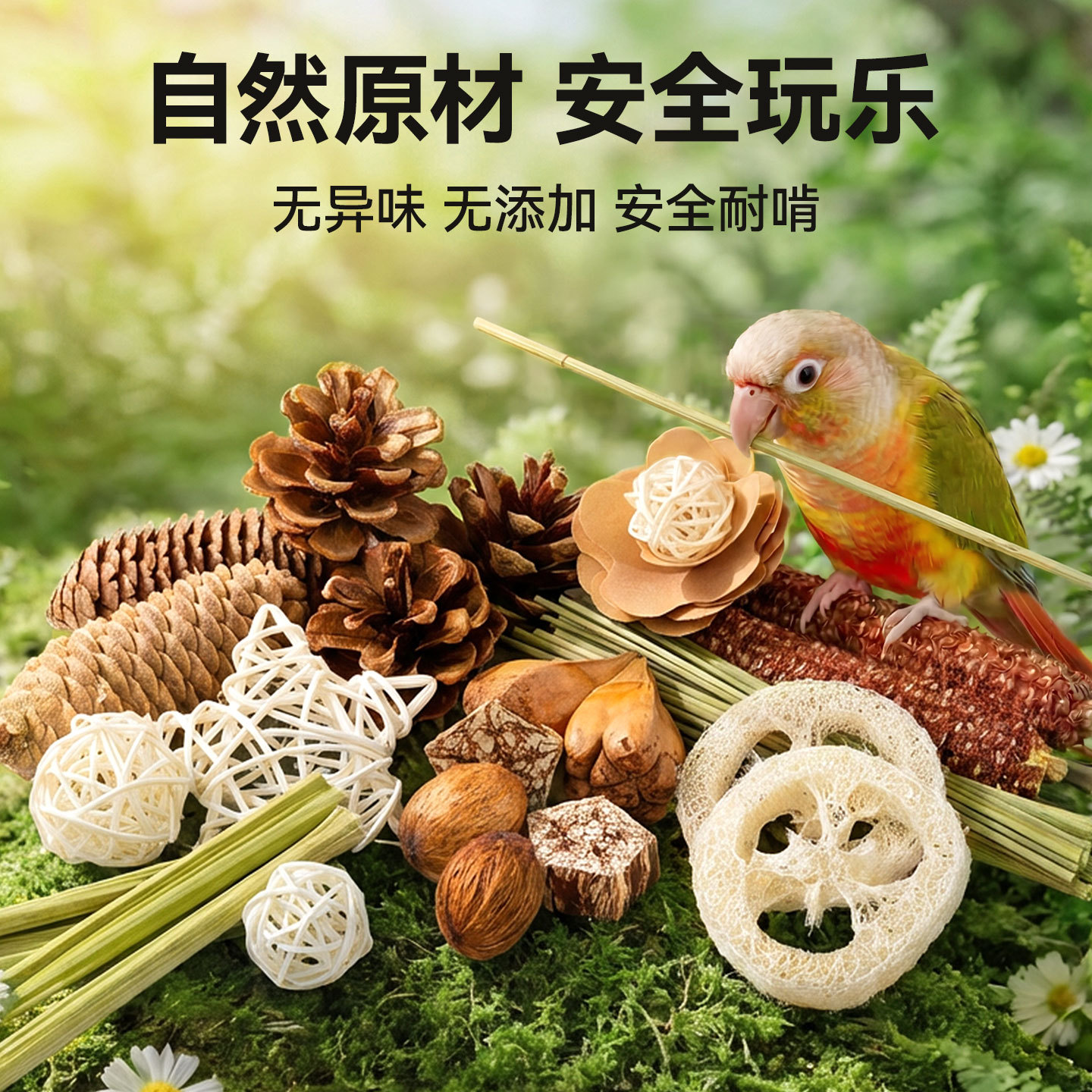 鹦鹉解闷自嗨玩具发泄磨牙耐咬啃咬小太阳牡丹虎皮通用鸟儿玩乐盒