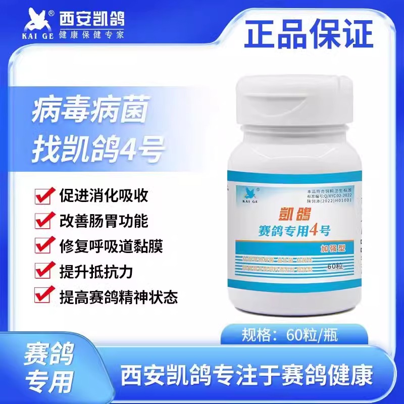 凯鸽4号胶囊赛鸽信鸽子药大全甩拉吐腺病毒常见病专用四号
