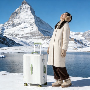 真轴承溜冰轮行李箱桃皮绒抑菌内里男拉杆箱女密码20登机箱旅行箱