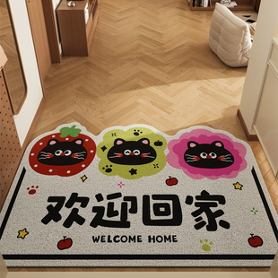入户门地垫门口外面进门蹭土脚垫自由裁剪玄关丝圈地毯家用入门垫
