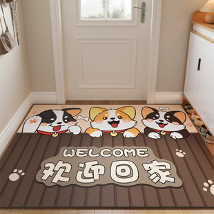 入户门地垫门口进门耐脏免洗脚垫pvc可擦洗新款门内玄关地毯门垫
