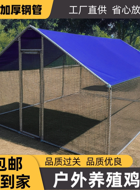 大型养殖鸡棚户外防雨棚室外鸡笼