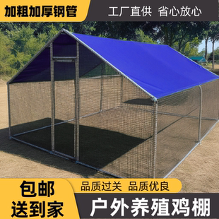 鸡舍搭建 大型养殖鸡棚户外防雨棚鸡窝家禽鸡笼子鸭棚鸽舍家用组装