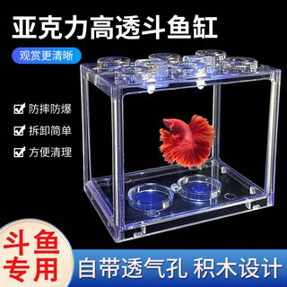 积木斗鱼小鱼缸微型生态观赏鱼缸斗鱼盒海藻球爬虫盒龟创意小鱼缸