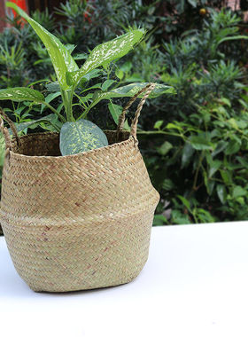 产地原色海草编织折叠大肚子草编篮子北欧风花盆收纳草编花篮