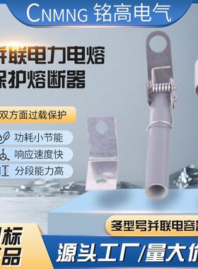 BRW-10KV-12KV/15A16A17A18A19A20A21A22A23A24A25A高压熔断器