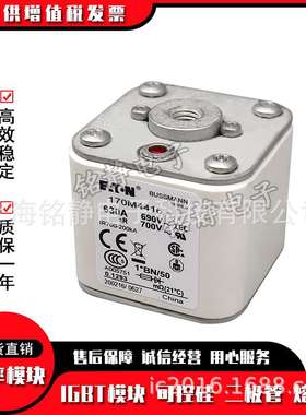 170M4388 170M4389 170M4390 170M4391 170M4392巴斯曼熔断器现货