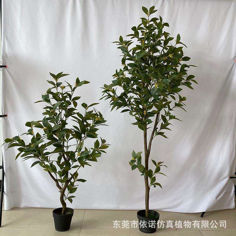 仿真桂花树盆栽仿真植物桂花树室内家居客厅办公室民宿造景装饰